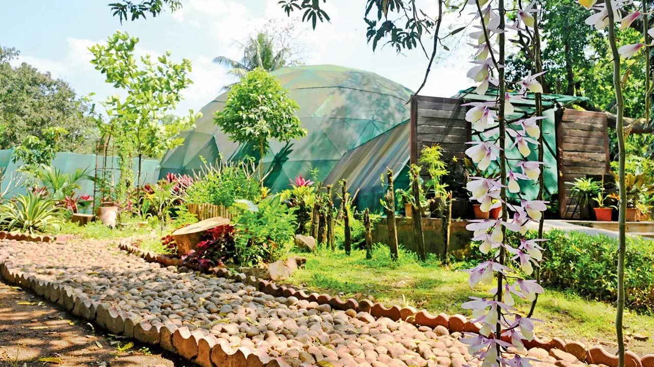 Simply extra-orchid-nary! Inside SGNP’s beautiful orchidarium